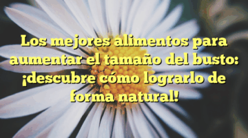 Los mejores alimentos para aumentar el tamaño del busto: ¡descubre cómo lograrlo de forma natural!