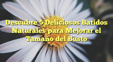 Descubre 5 Deliciosos Batidos Naturales para Mejorar el Tamaño del Busto