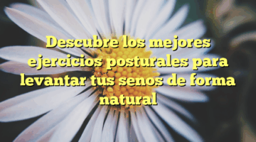 Descubre los mejores ejercicios posturales para levantar tus senos de forma natural