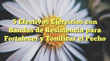5 Efectivos Ejercicios con Bandas de Resistencia para Fortalecer y Tonificar el Pecho