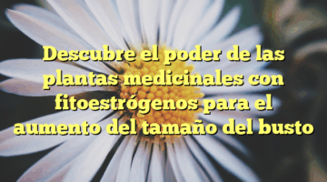 Descubre el poder de las plantas medicinales con fitoestrógenos para el aumento del tamaño del busto