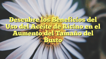Descubre los Beneficios del Uso del Aceite de Ricino en el Aumento del Tamaño del Busto