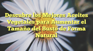Descubre los Mejores Aceites Vegetales para Aumentar el Tamaño del Busto de Forma Natural