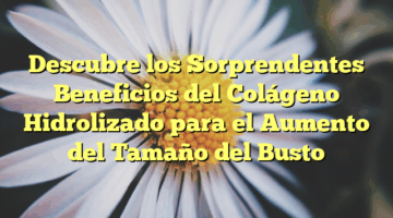 Descubre los Sorprendentes Beneficios del Colágeno Hidrolizado para el Aumento del Tamaño del Busto