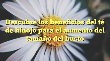 Descubre los beneficios del té de hinojo para el aumento del tamaño del busto