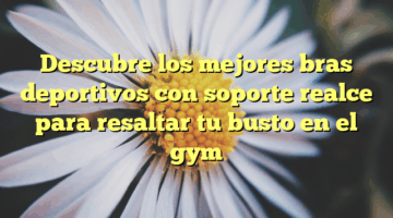 Descubre los mejores bras deportivos con soporte realce para resaltar tu busto en el gym