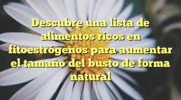 Descubre una lista de alimentos ricos en fitoestrógenos para aumentar el tamaño del busto de forma natural