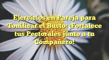 Ejercicios en Pareja para Tonificar el Busto: ¡Fortalece tus Pectorales junto a tu Compañero!