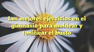 Los mejores ejercicios en el gimnasio para moldear y tonificar el busto