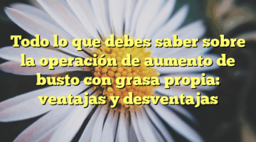 Todo lo que debes saber sobre la operación de aumento de busto con grasa propia: ventajas y desventajas